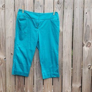 Worthington Capri pants size 8 (#106)